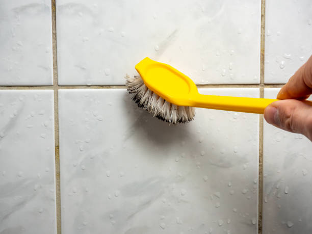 Best Residential Mold Removal  in , AR