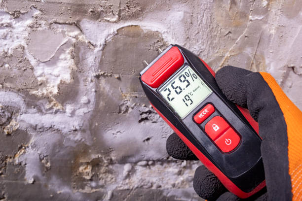 Best Mold Testing  in , AR